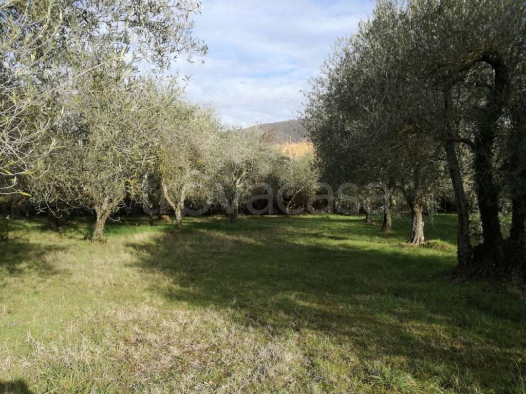 immagine annuncio 7 di 9