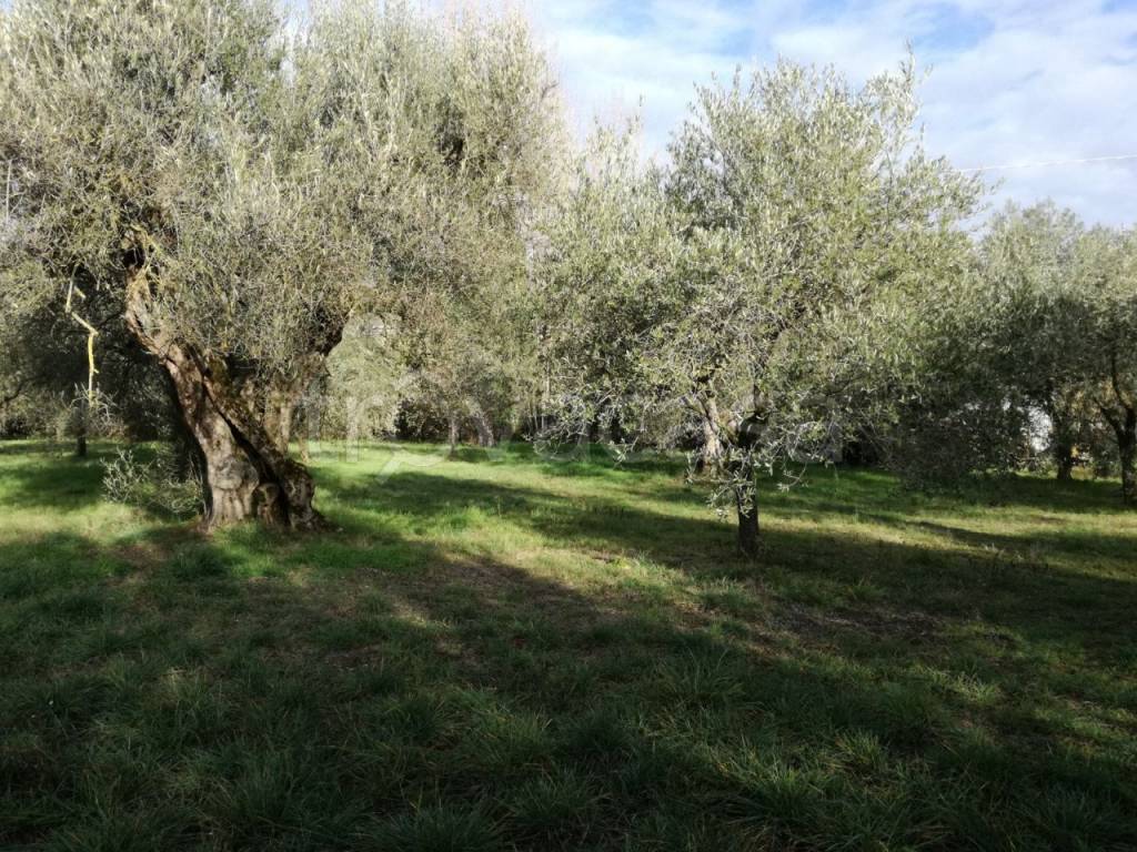 immagine annuncio 8 di 9