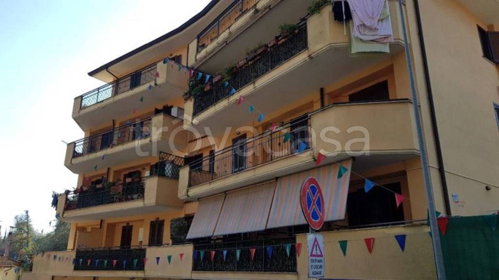 immagine annuncio 9 di 12