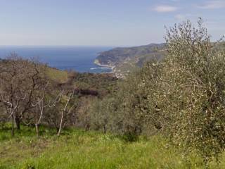 Terreno agricolo in vendita a san mauro cilento san mauro cilento