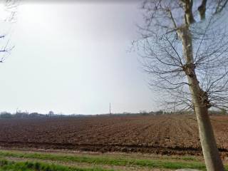 Terreno agricolo in vendita a vedelago 