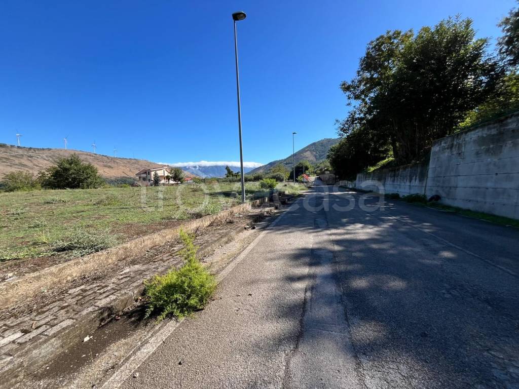 immagine annuncio 2 di 4