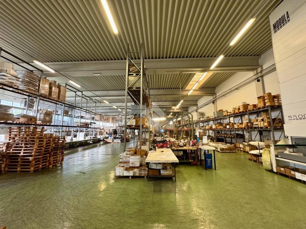 immagine annuncio 4 di 15