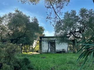 Terreno agricolo in vendita a faleria via civita castellana, 20