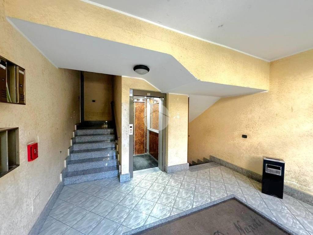 immagine annuncio 2 di 11
