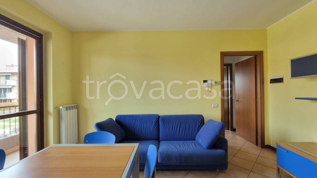 immagine annuncio 3 di 11