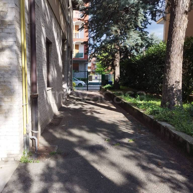 immagine annuncio 3 di 6