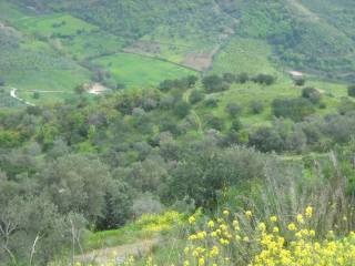 Terreno agricolo in vendita a perdifumo contrada difesa