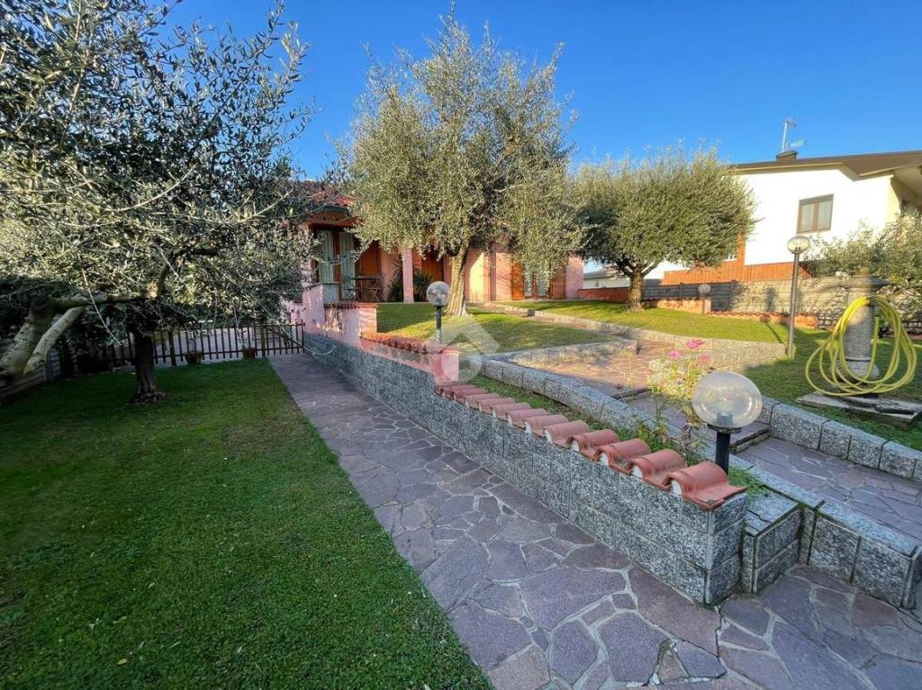 immagine annuncio 9 di 15