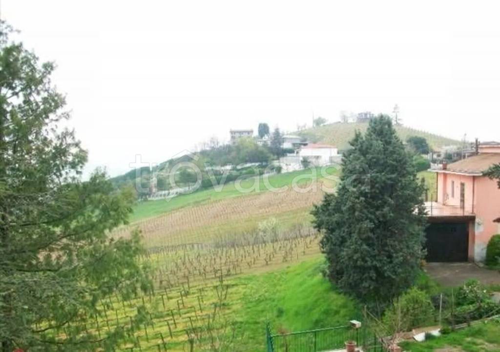 immagine annuncio 4 di 8