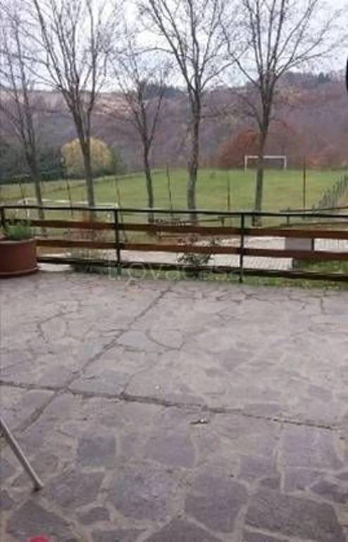 immagine annuncio 3 di 8