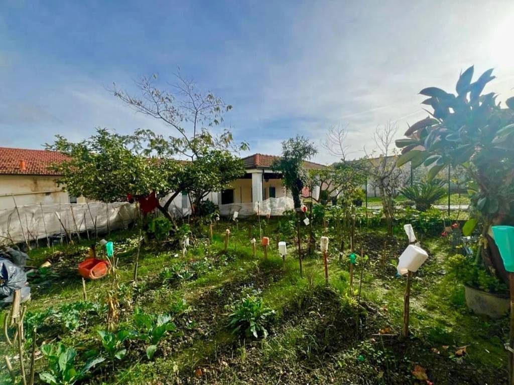 immagine annuncio 4 di 6