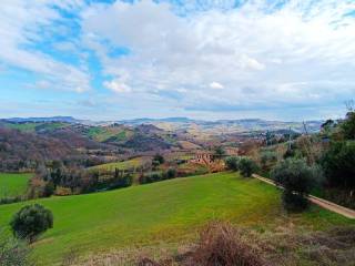 Appartamento in vendita a petritoli via trieste