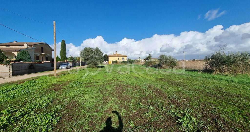 immagine annuncio 4 di 9