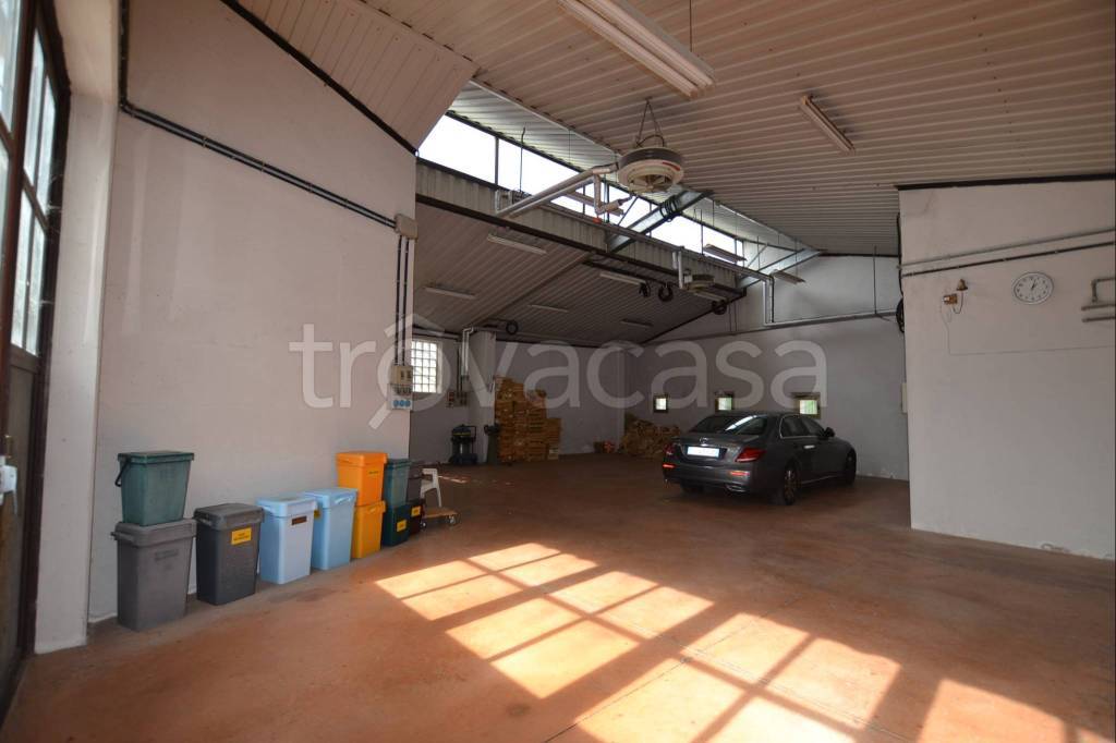 immagine annuncio 11 di 13