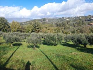 Terreno agricolo in vendita ad anagni via fossate della badia