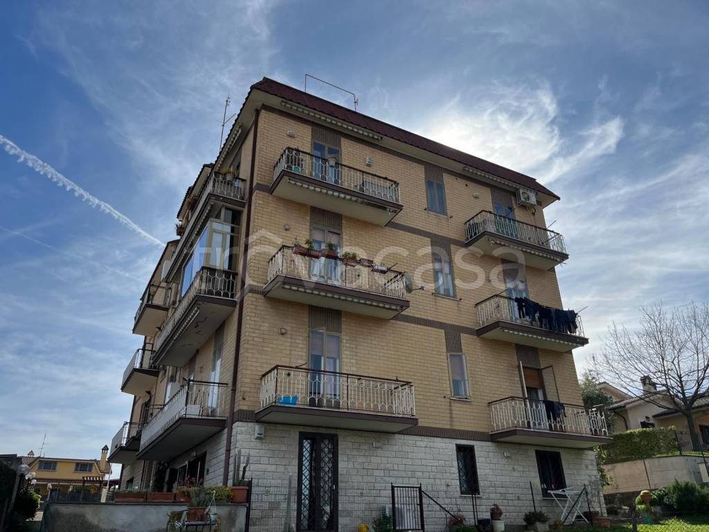 immagine annuncio 1 di 13