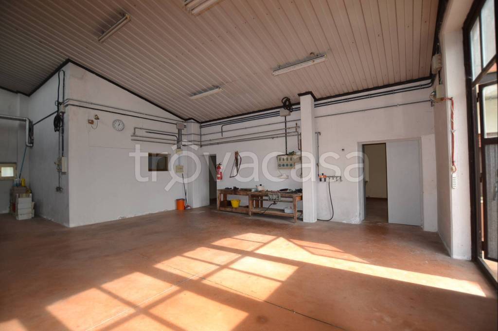 immagine annuncio 12 di 14