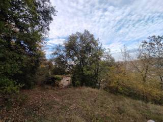 Terreno agricolo in vendita ad ascoli piceno zona industriale campolungo