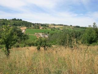 Terreno agricolo in vendita a monsampolo del tronto contrada fontanelle