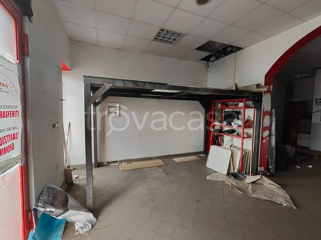 immagine annuncio 2 di 14