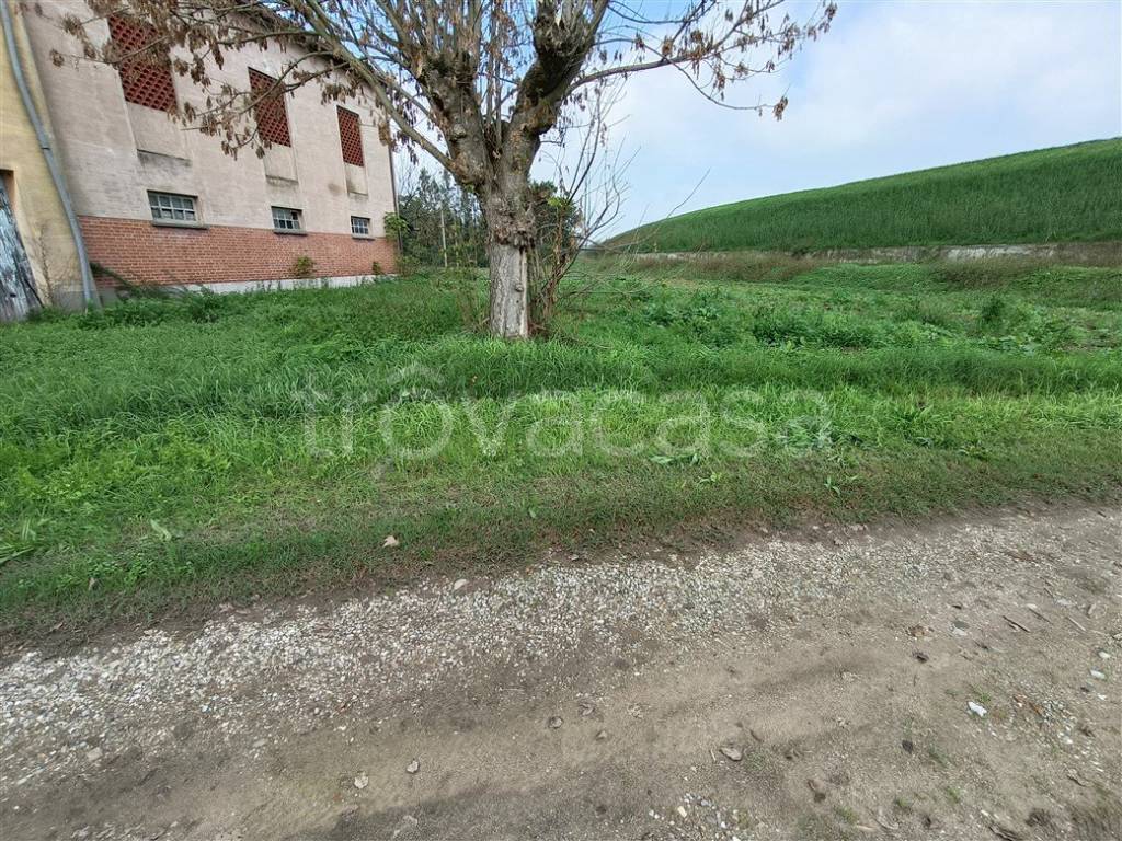 immagine annuncio 1 di 14