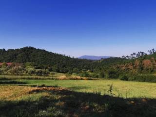 Terreno agricolo in vendita ad anagni via colle saricone