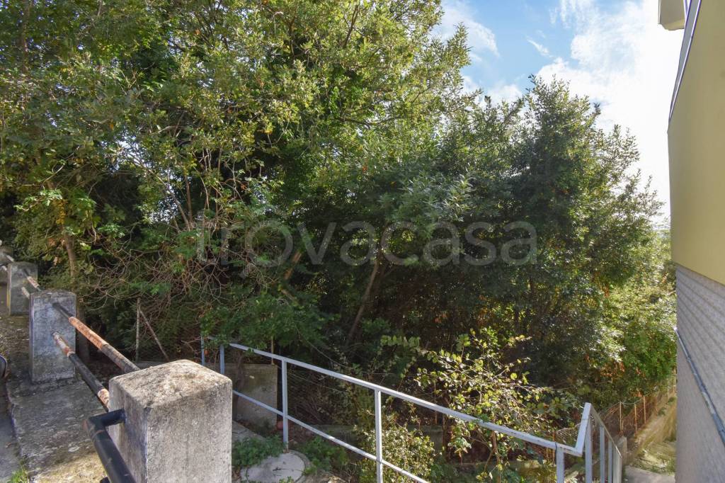 immagine annuncio 5 di 8