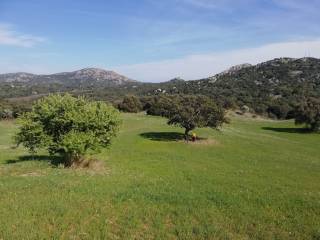 Terreno agricolo in vendita a loiri porto san paolo loc graminatoggiu