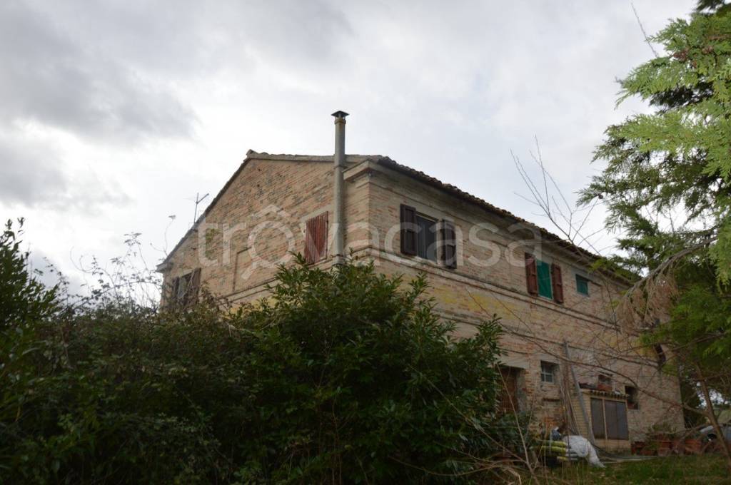 immagine annuncio 2 di 6