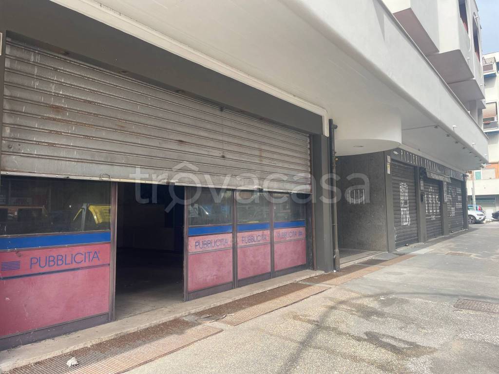 immagine annuncio 10 di 12