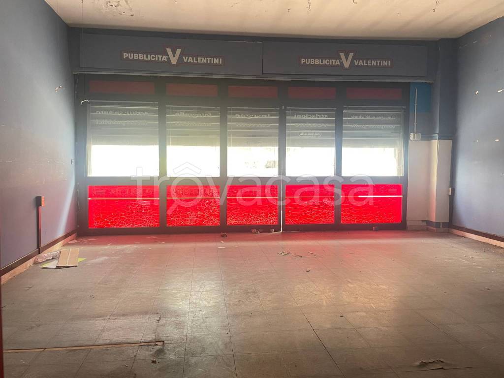 immagine annuncio 9 di 12