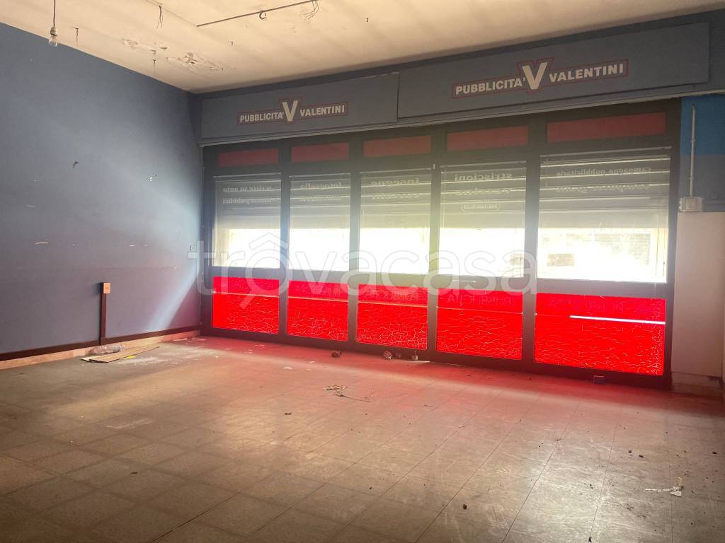 immagine annuncio 7 di 12