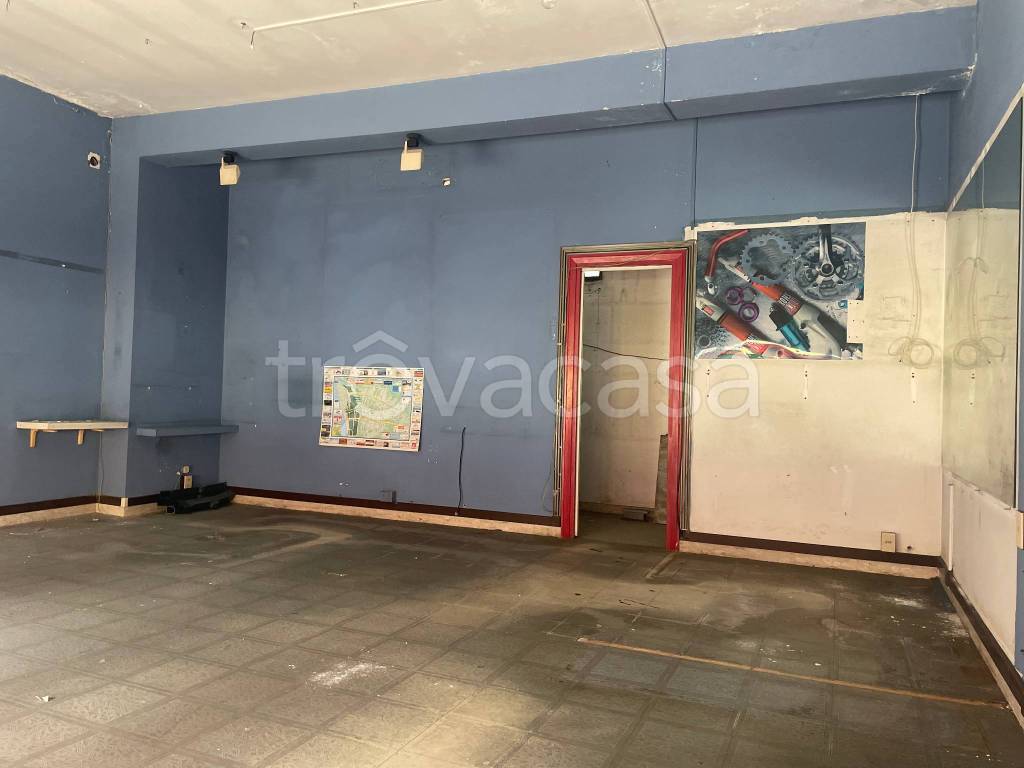 immagine annuncio 5 di 12