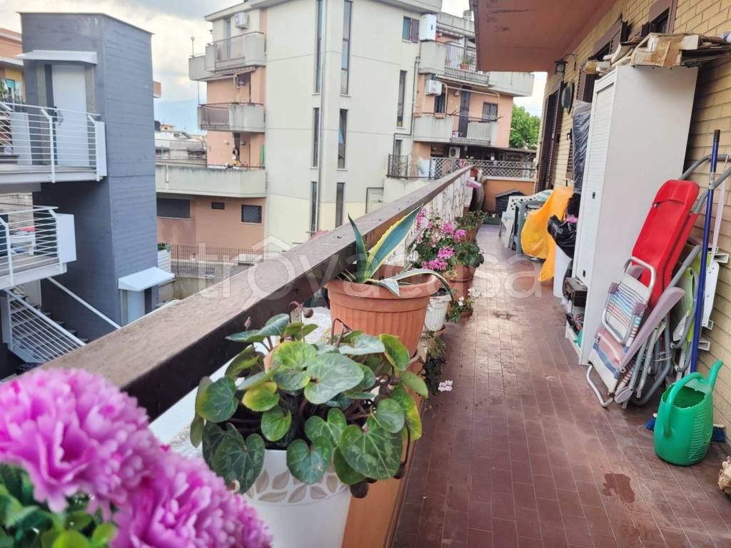immagine annuncio 2 di 13