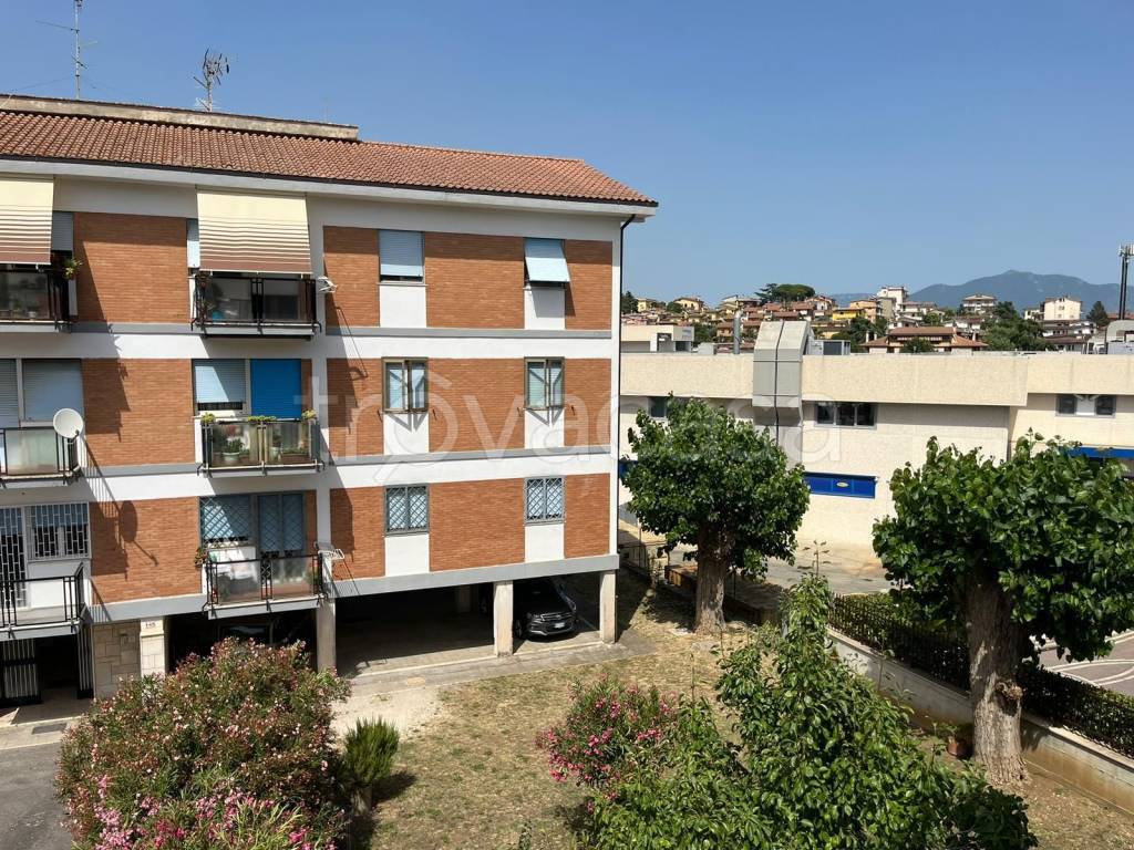 immagine annuncio 3 di 12
