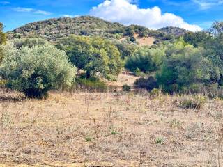 Terreno agricolo in vendita a loiri porto san paolo trudda