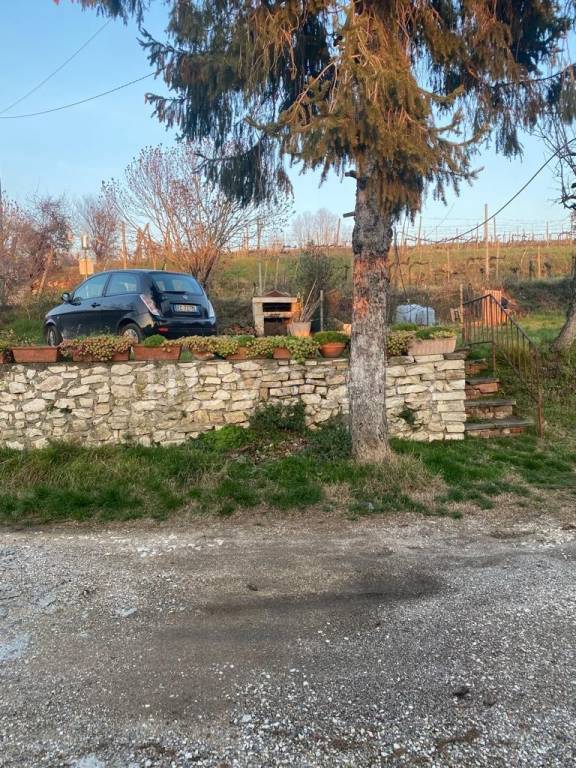 immagine annuncio 2 di 7