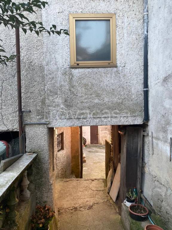 immagine annuncio 4 di 7