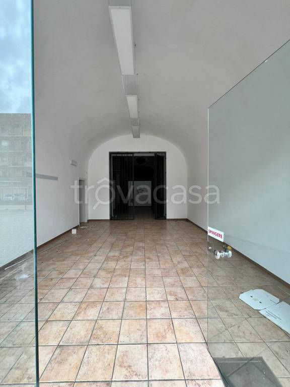 immagine annuncio 8 di 14