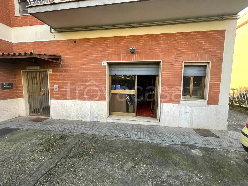 immagine annuncio 2 di 9