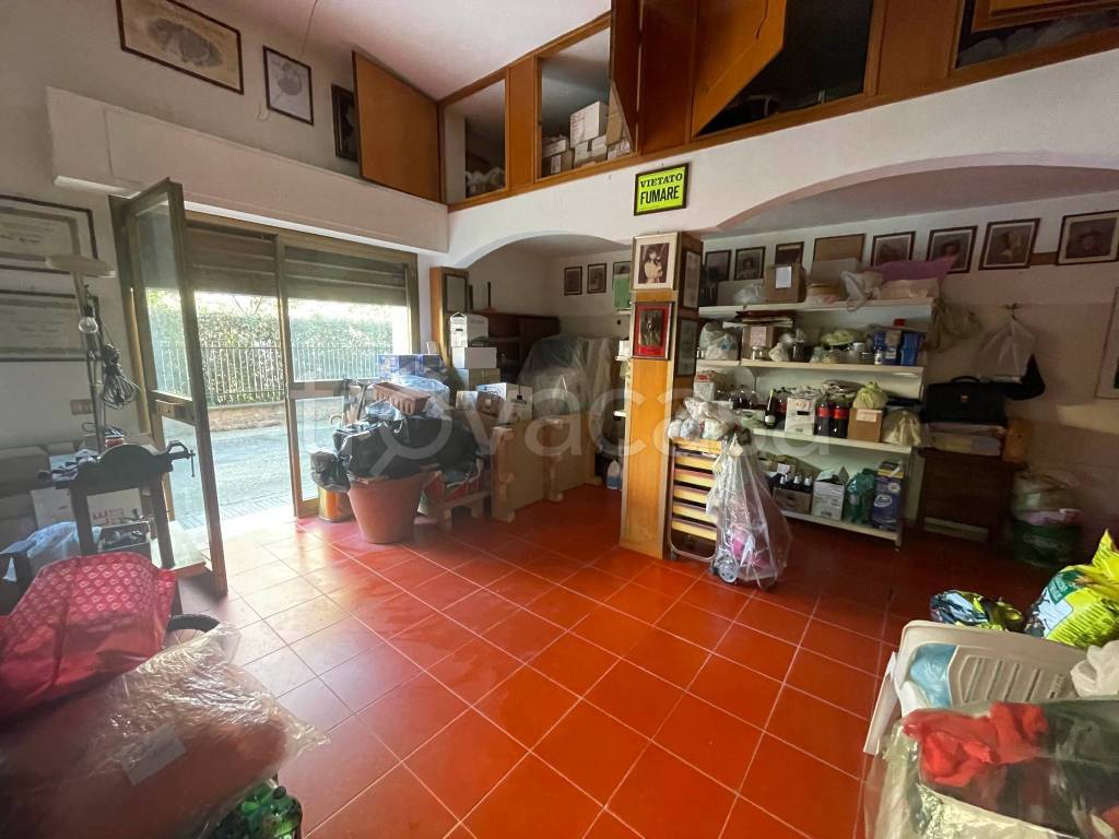 immagine annuncio 5 di 9