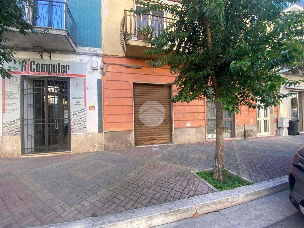immagine annuncio 2 di 12