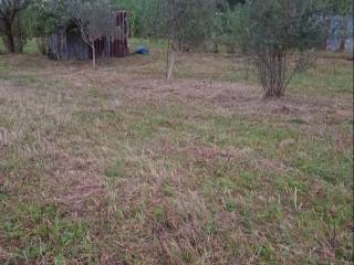 Terreno agricolo in vendita a minturno via grata