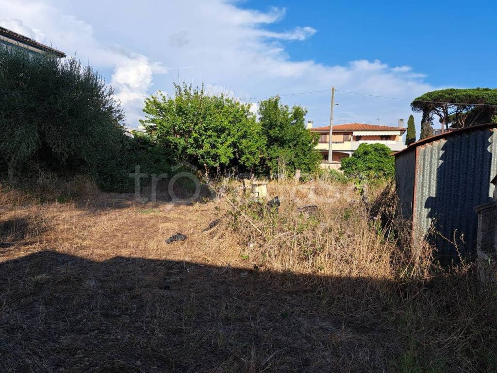 immagine annuncio 2 di 4