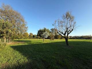 Terreno residenziale in vendita a fontaniva 