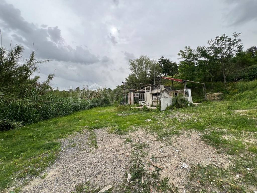 immagine annuncio 4 di 9