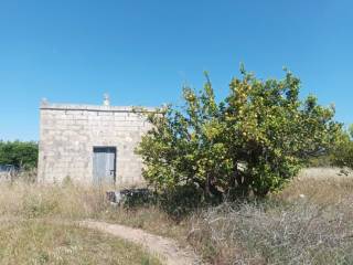 Terreno agricolo in vendita a lizzanello 