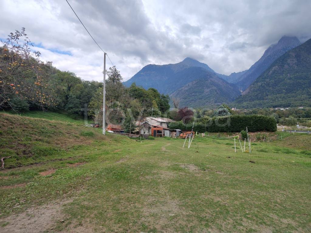 immagine annuncio 13 di 15
