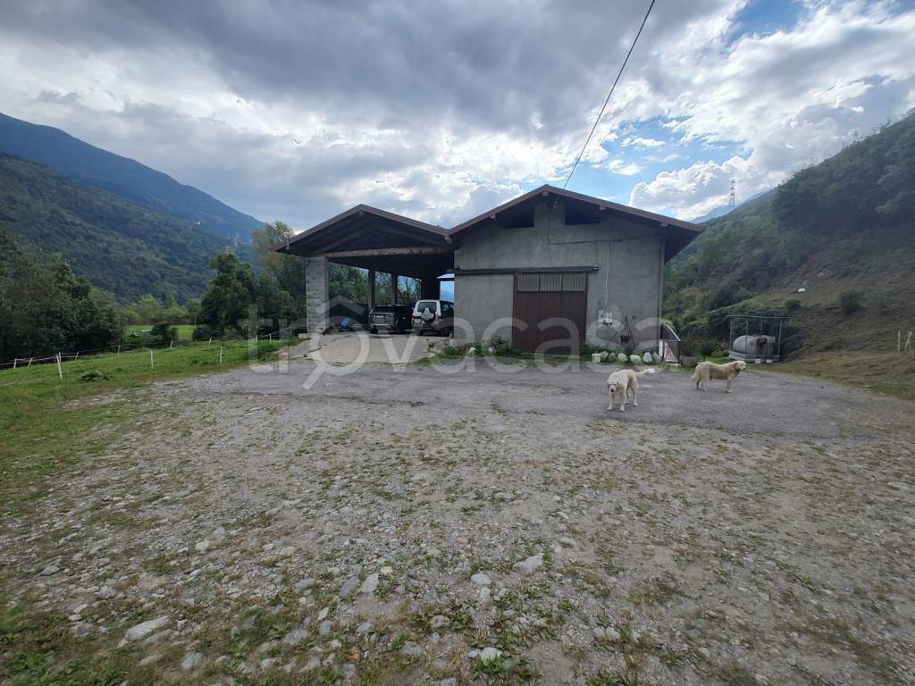 immagine annuncio 11 di 15